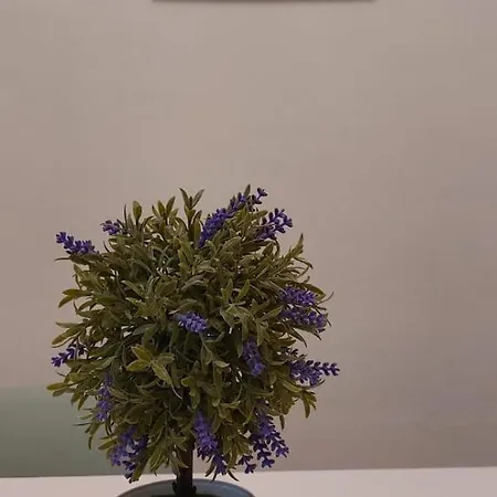La Casa All'angolo Altavilla Milicia